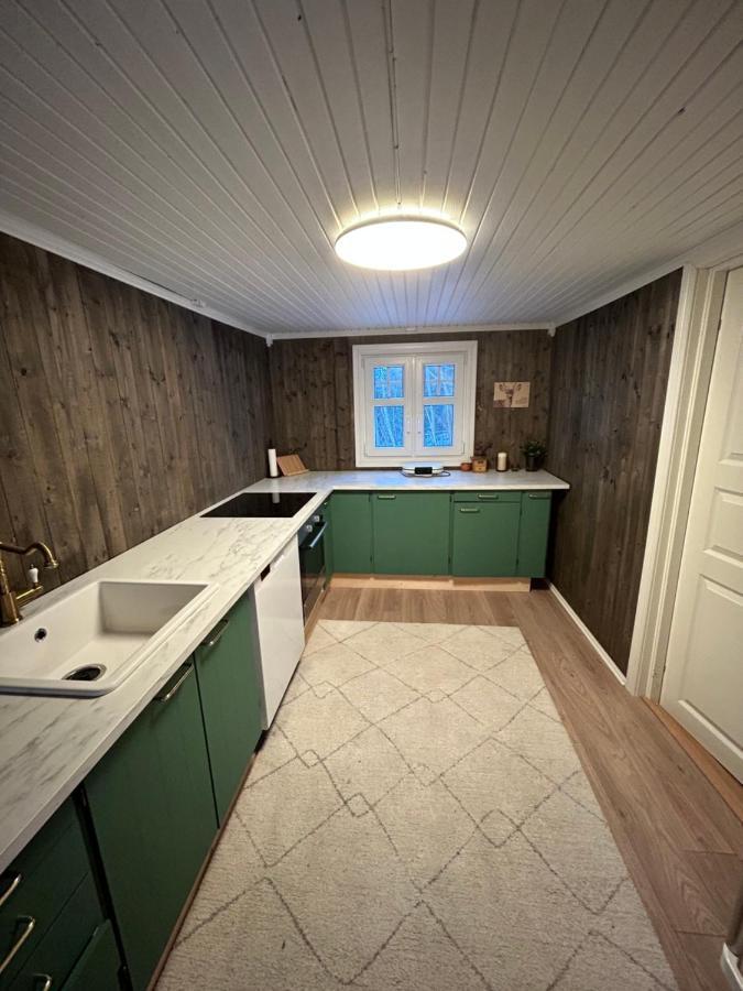Beautiful Cabin By Mjosa. Villa Stange Eksteriør billede